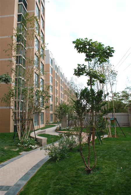 拉斯维加斯游戏3499嘉园二期局部景观雏形鉴赏（亲景实拍）