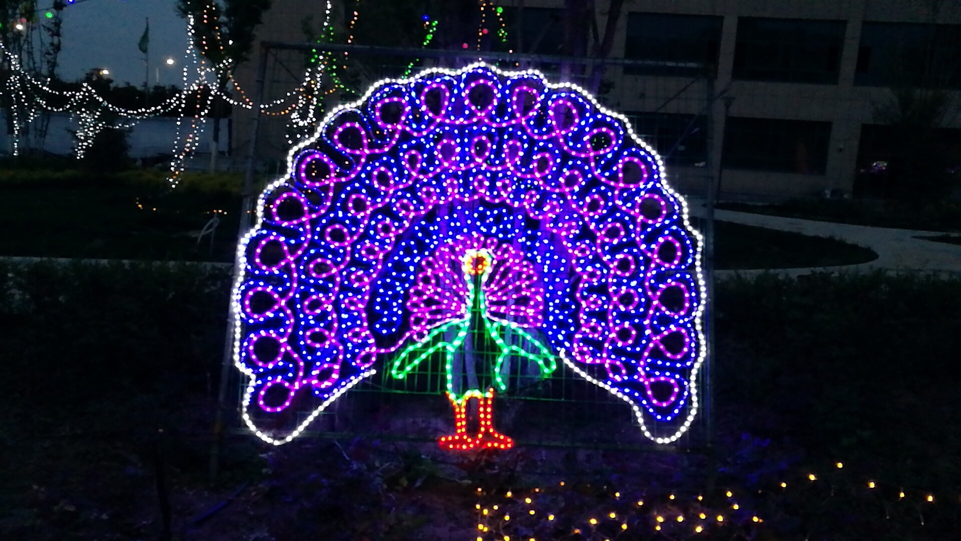 兰州新区拉斯维加斯游戏3499世贸广场“花漾灯光艺术节”欢迎你！